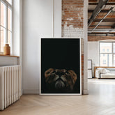 Lioness Looking Up | Bold Wildlife Wall Art Print - Print